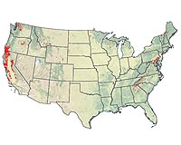 Geologists Map Rocks To Soak CO2 From Air