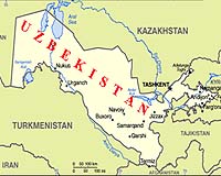 US military not planning bases in Uzbekistan: ambassador