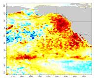 'Blob' research shows ecological effects that halted fishing and hiked whale entanglements