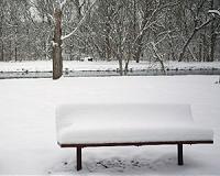 Biggest snow storm in decades hits north Mexico