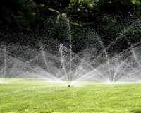 Amid drought, California declares war on lush lawns