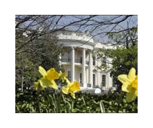 White House rebukes Democrat for blocking budget chief