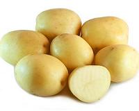 Research reveals movement and evolution of potato famine pathogen