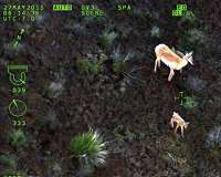 Wildlife conservation aided by L3Harris Electro-Optical/Infrared Technology