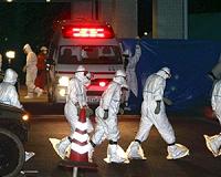 Radiation 'hot spots' near Olympic torch relay in Fukushima: Greenpeace
