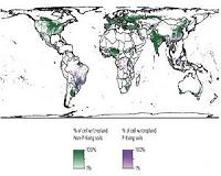 Phosphorus tax could be huge if tropical farming intensifies