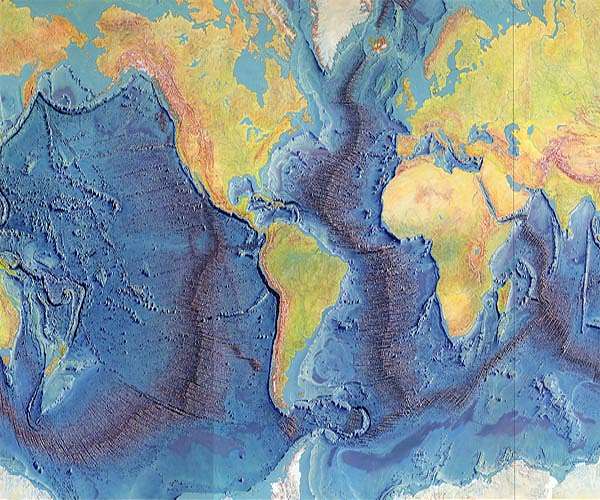 When land rises, bird and mammal evolution speeds up