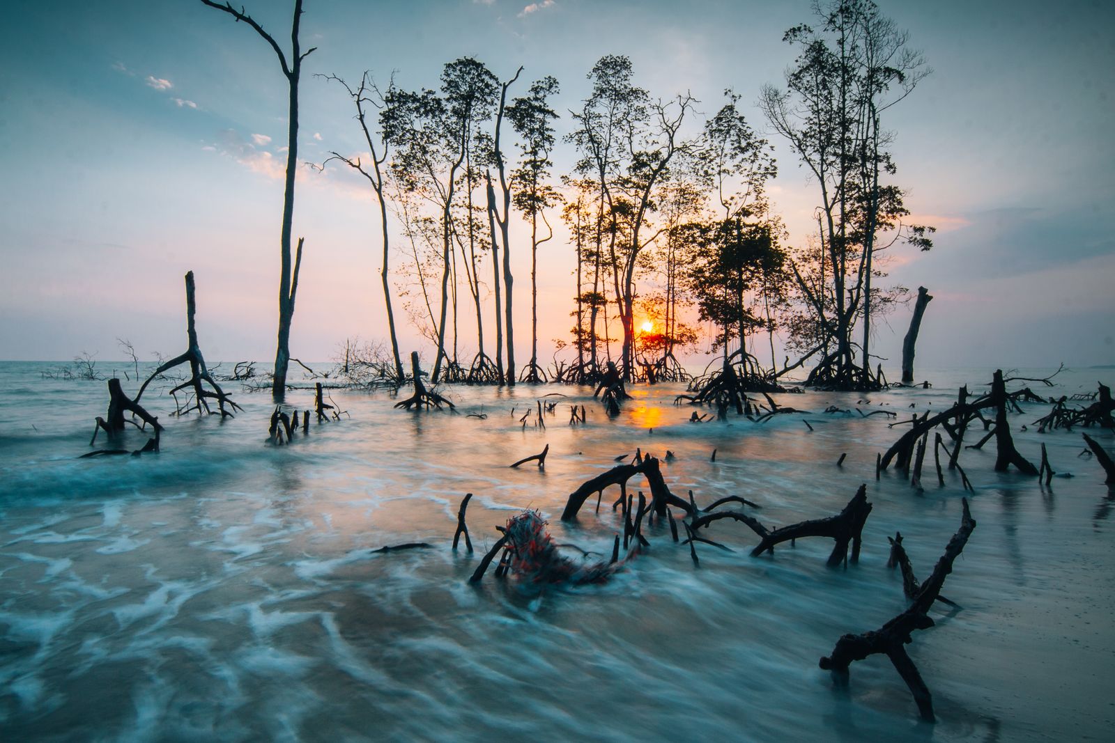 What happened when a low-lying delta nation that lost roughly 138,000 people to a 1991 cyclone expanded coastal forests, shelters and village warnings together?