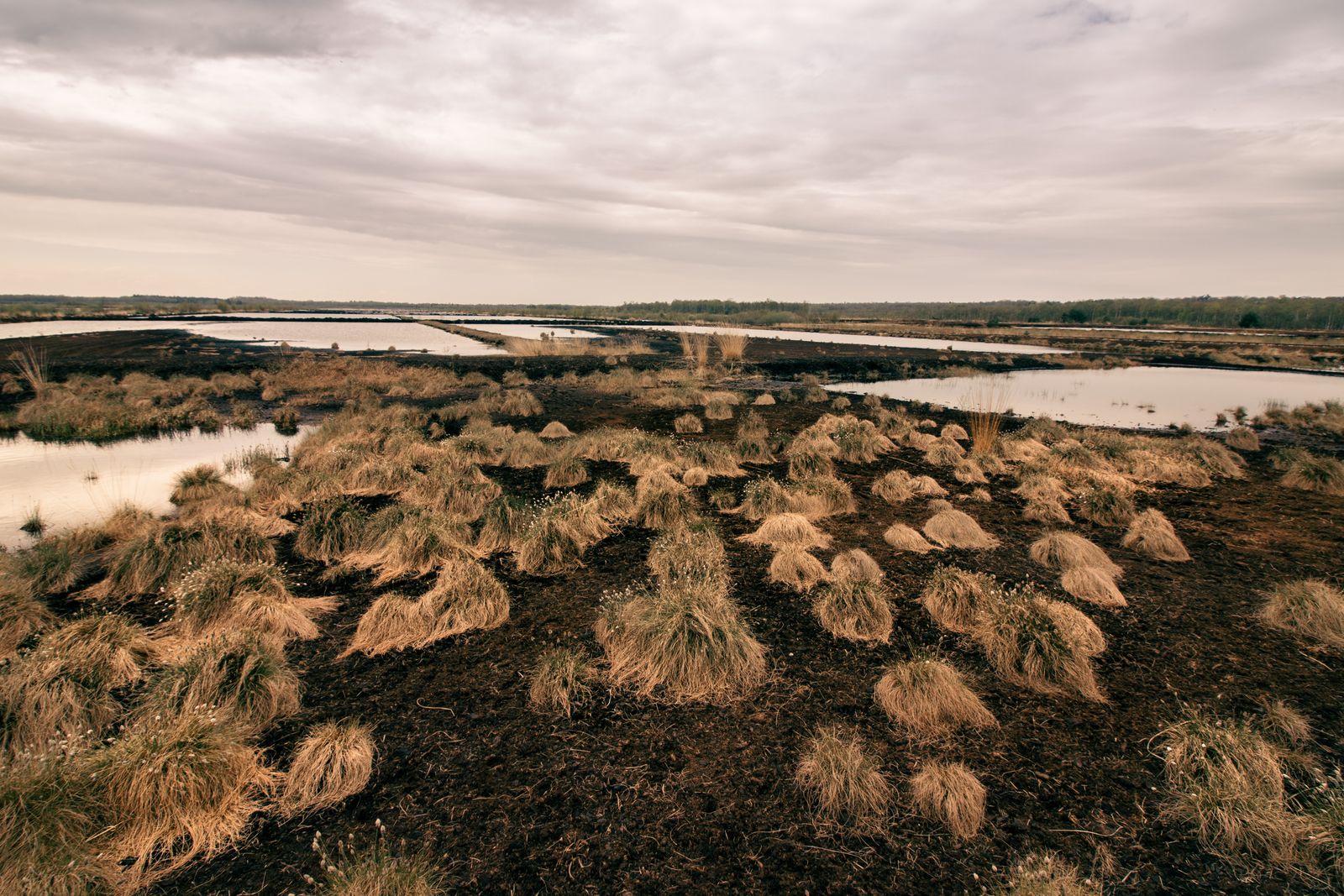 Why does draining a waterlogged carbon store that covers just 3 percent of land surface release more CO2 each year than the entire global aviation industry?
