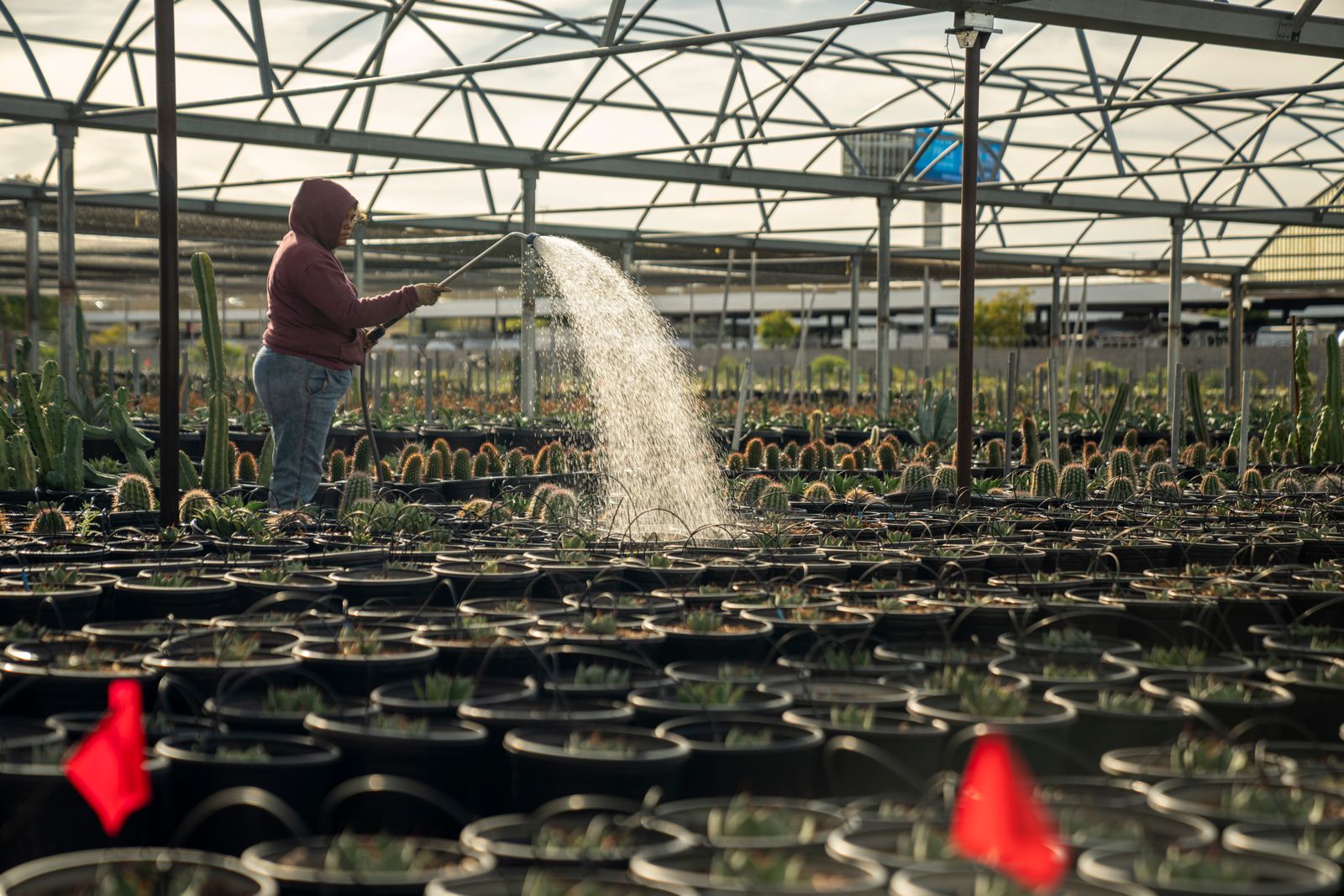 How did a desert nation with almost no freshwater and 60 percent arid land raise agricultural output more than tenfold since 1948 while cutting water used per crop by roughly half, using a technique invented on a leaky pipe?