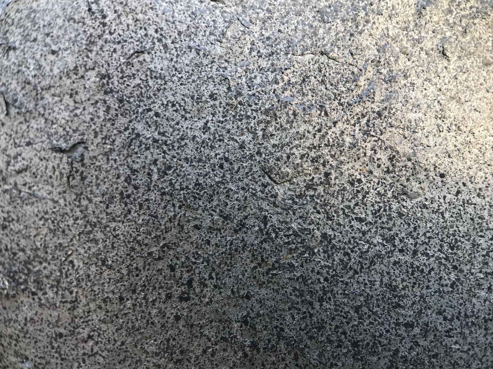 Murchison meteorite fragment