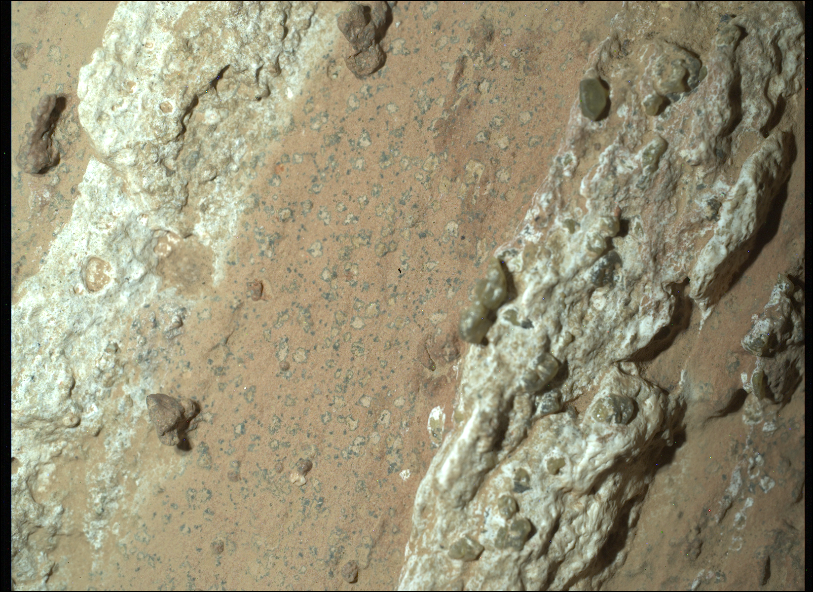 A rock on Mars nicknamed Cheyava Falls is speckled with 'leopard spots' — tiny rings of iron and phosphate that, on Earth, only form where microbes once lived, making it the strongest candidate for ancient life scientists have ever drilled