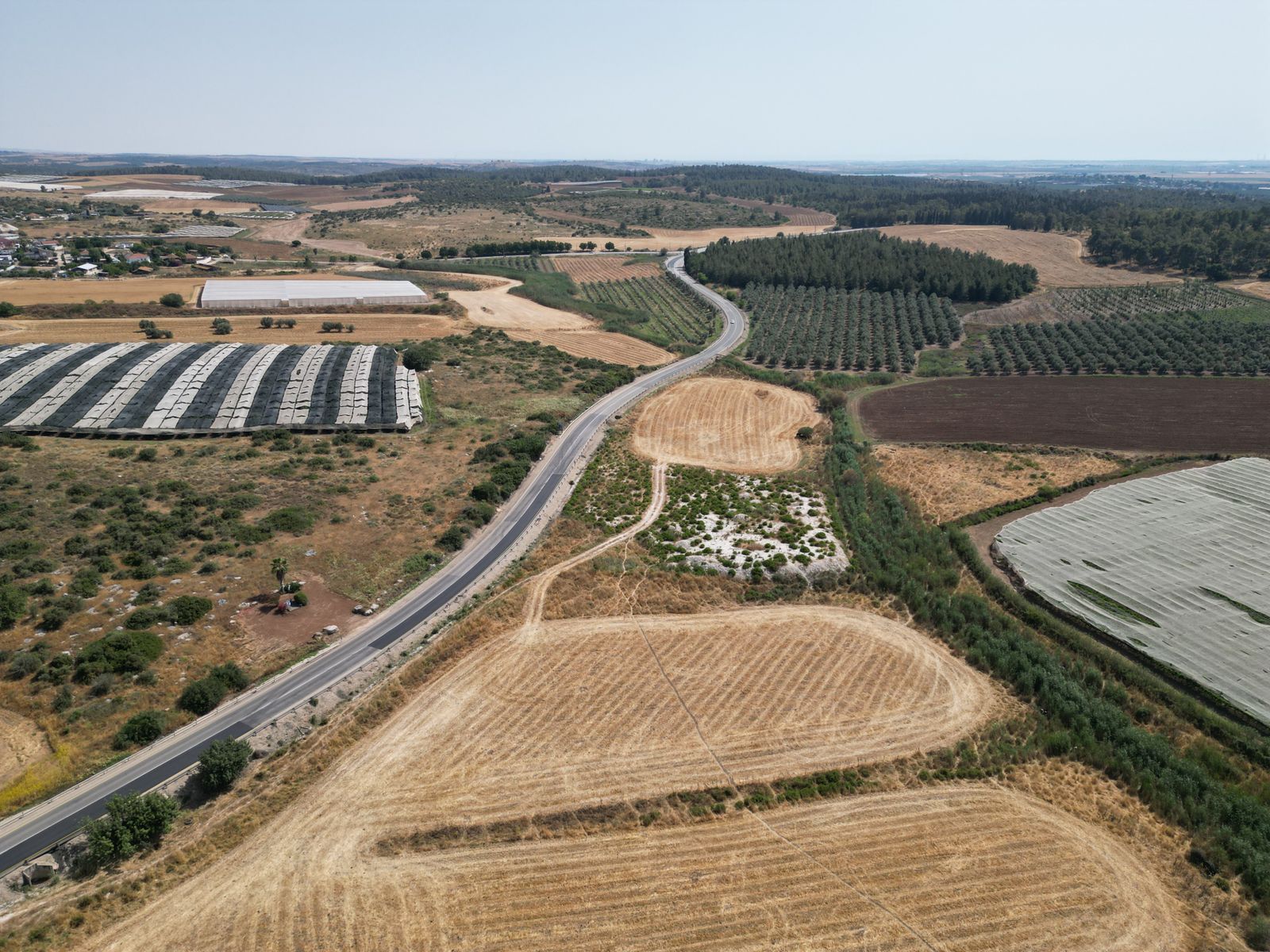 Negev desert farm