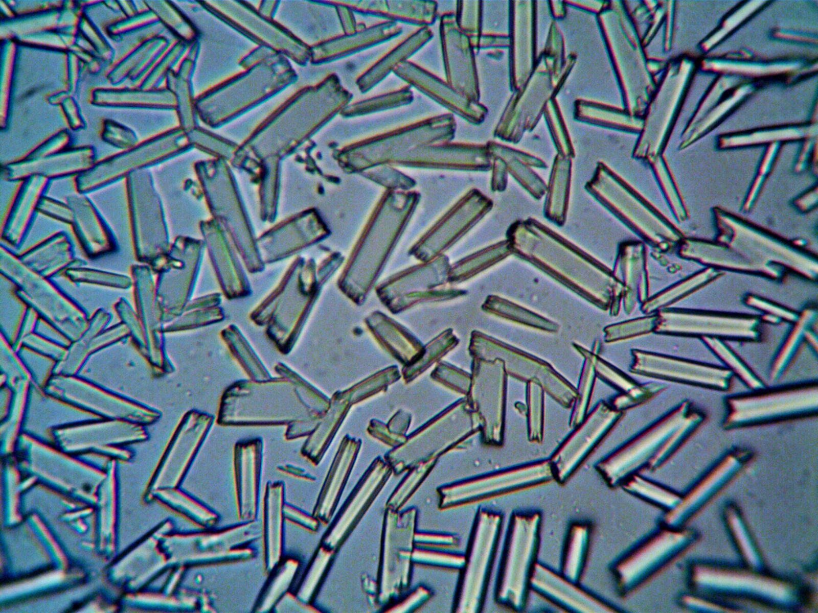 silicon carbide grain microscope