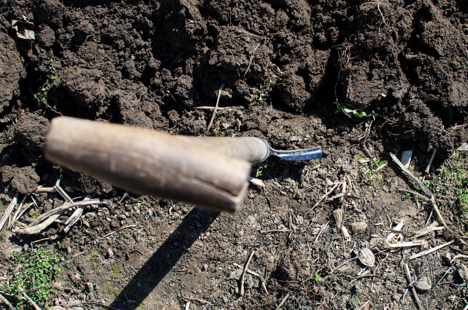 A six-year-old Norwegian boy found a 1,200-year-old iron sword while collecting rocks for a school craft project