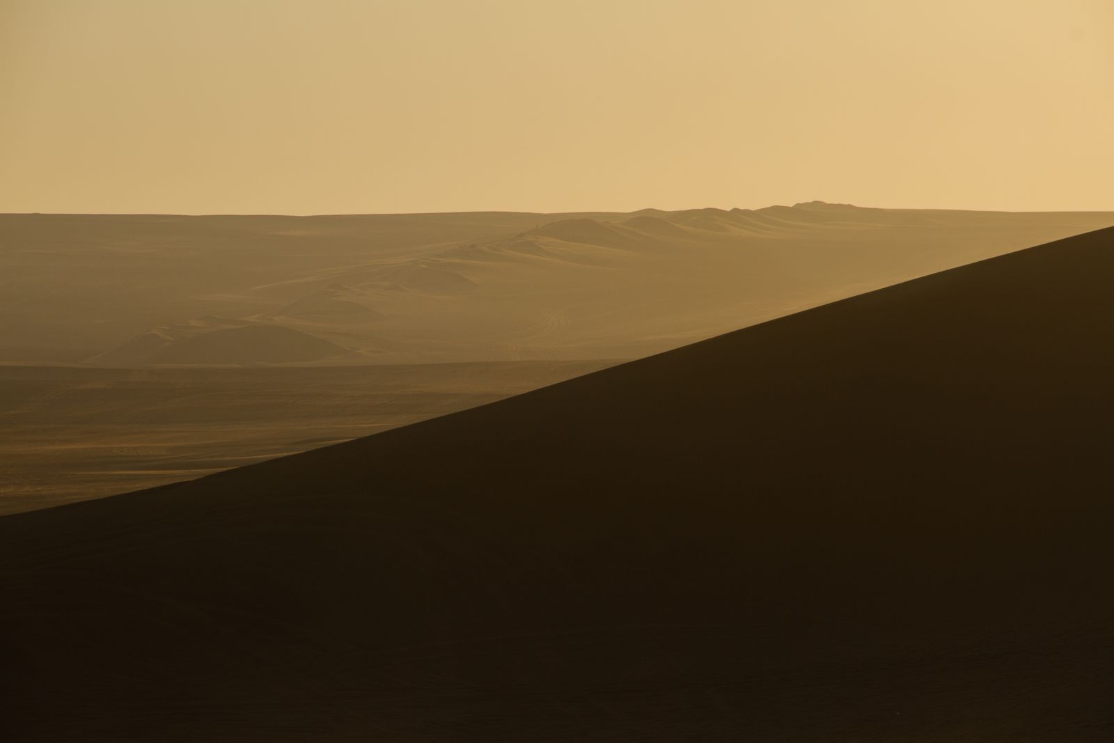 New Mexico desert landscape