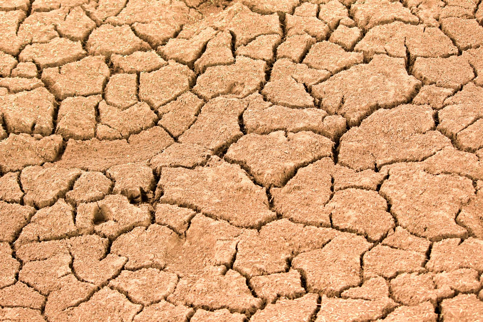subsidence cracked farmland california
